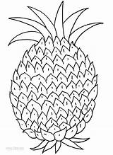 Pineapple Ananas Cool2bkids Ausmalbilder sketch template