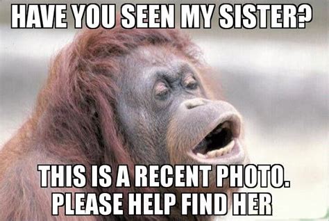 40 Hilariously Relatable Sibling Memes Funny Sister Memes Sisters