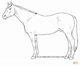Horse Quarter Coloring Pages Outline Drawing Printable Outlines Horses Vanner Gypsy Drawings Sketch Color Supercoloring Cute Getdrawings Getcolorings Print Choose sketch template