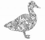 Patos Duck Patchwork Zentangle sketch template