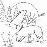 Wolf Coloring Pages Howling Moon Pack Print Drawing Coloring4free Adults Printable Cool Sheets Couple Arctic Wolves Night Animals Color Realistic sketch template