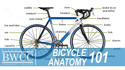 bicycle parts diagram