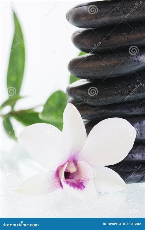 spa concept  hot stones orchid  bamboo leaves stock photo