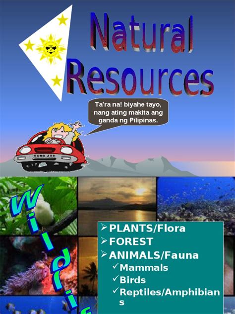 philippinesnatural resources org