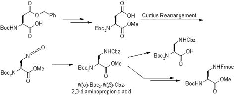 boc protected amino groups