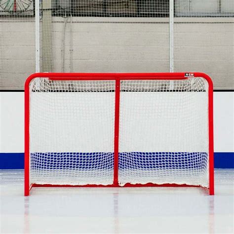 professional ice hockey goal and net net world sports