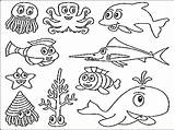 Animals Drawing Water Getdrawings Coloring Sea Animal sketch template