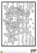 Palmiers Palmier Paysage Coquillage Petites Hugolescargot Coloriages Adulte Cahier île Enfant Imprimer Ile Noix Depuis Danieguto sketch template