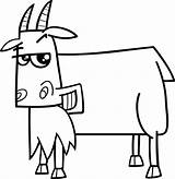 Goat Coloring Farm Book Stock Illustration Cartoon Animal Depositphotos sketch template