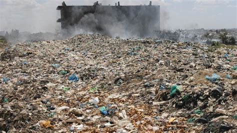 toxic waste exposure widespread  developing world