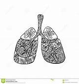 Lungs Zentangle Style Drawing Illustration Preview sketch template