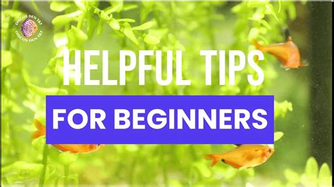 helpful tips  beginners youtube