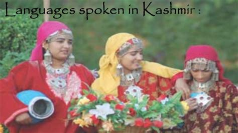 culture of kashmir youtube