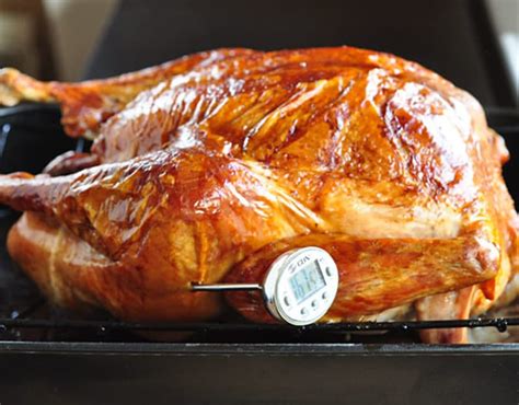 cooking a turkey tips mistakes to avoid kitchn