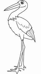 Stork Coloring Legs Its Feathers Nozzle Drawings Baby sketch template