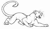 Pantera Feroz Schwarzer Panteras Zeichnung Panthers Malvorlagen Schwarze Tudodesenhos Tiere Kostenlose Katze Vcl sketch template