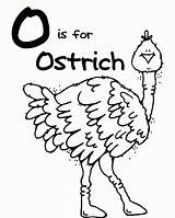 Coloring Ostrich Clipart Popular sketch template