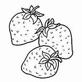 Strawberry Strawberries Coloring Pages Little Three Fruits Top sketch template