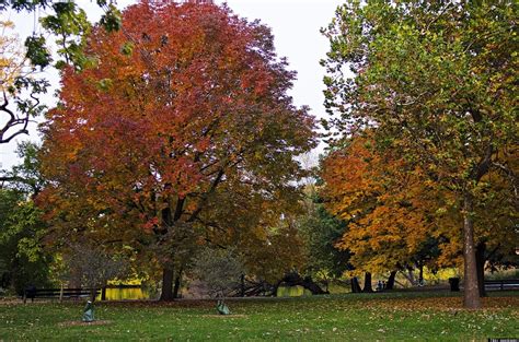 best places to see fall colors in chicago where to take