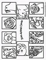 Zoo Animals Coloring Animal Pages Printable Cards Printables Kids Cards1 Color Dear Print Activity 2009 Gif Preschool Activities Book Printables4kids sketch template
