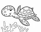 Turtle Coloring Pages Print Turtles Getdrawings Printable sketch template