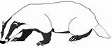 Malvorlage Fuchs Dachs Malvorlagen Tiere sketch template