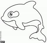 Coloring Orca Pages Clipart Kids Oncoloring sketch template