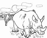 Rhinoceros Coloring Savanna Great Pages Giant Kids sketch template