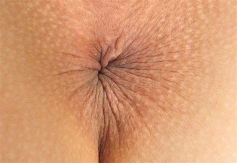 anus close up butthole porno archive