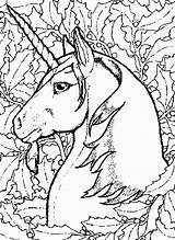 Coloring Pages Printable Unicorn Adults Unicorns Fairy Adult Colouring sketch template