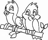 Tweety Parrot Beauyiful Ikids Clipartmag Pie Webstockreview sketch template