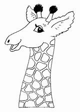 Girafe sketch template