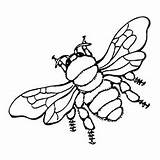 Bumblebee Coloring Pages Flying Bee Little Top sketch template