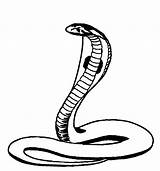 Snake Cobra Drawing Clip Line King Logo Clipart Drawings Cliparts Coloring Step Nag Panchami Pages Realistic Easy Library Clipartmag Draw sketch template