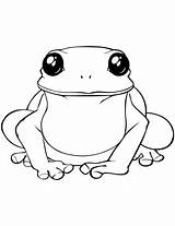 Coloring Frog Pages Toad Amphibian Sgt Print Getdrawings Drawing Kolorowanka Do Druku Kolorowanki Search Again Bar Case Looking Don Use sketch template