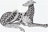 Greyhound Visit Colouring Dog sketch template