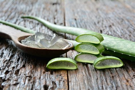 How To Use An Aloe Vera Plant To Treat A Sunburn Quickly And Naturally