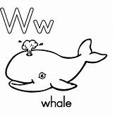 Coloring Letter Pages Printable Whale Popular sketch template