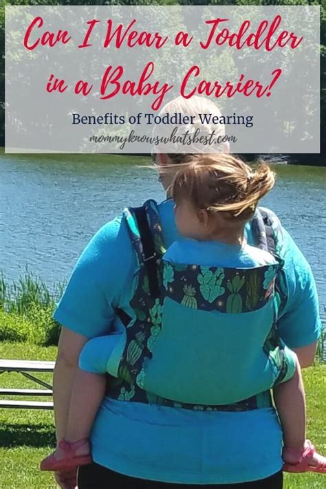 wear  toddler   baby carrier   carriers  toddlers