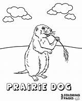 Prairie Dog Coloring Color Print Printable Sheet Animal sketch template