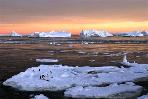 study predicts antarctic ice melting  endure  fevralya