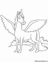 Winged Horse Coloring Pages sketch template