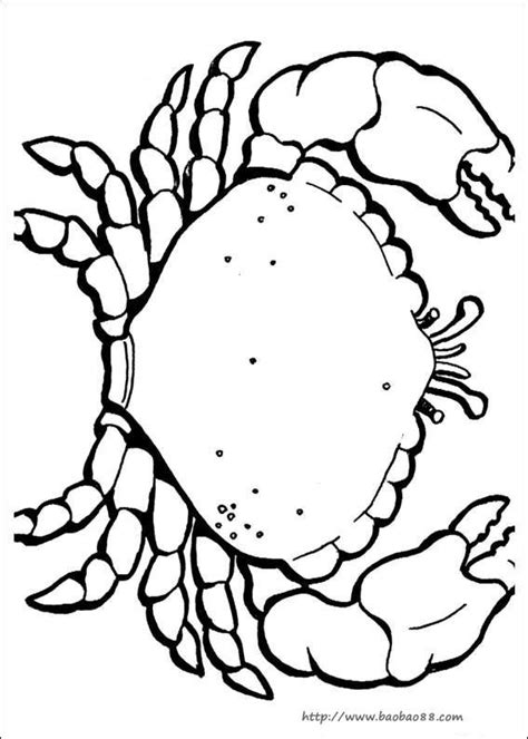 collection  ocean coloring pages  preschool  print