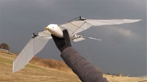 japanese doctors hobby dreams  flight   printed ornithopters collection grows