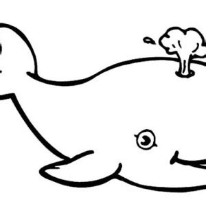 blue whale   baby coloring page kids play color