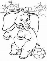 Elephant Pages Coloring Color Circus Kids sketch template