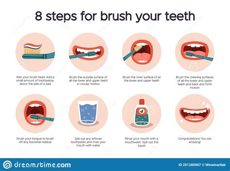 dental hygiene infographic oral healthcare guide tooth brushing