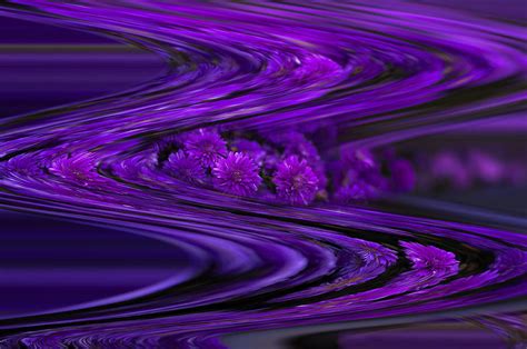 purple wave  ivelina aasen