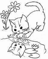 Coloring Pages Animals Animal Baby Kids Colouring Printable Cat Book Cute Stylesatlife Choose Board Cats Kittens Sheets Print sketch template