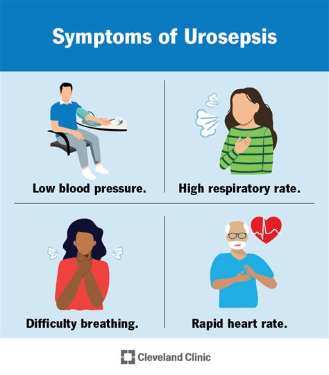 Urosepsis Causes Symptoms Diagnosis And Treatment